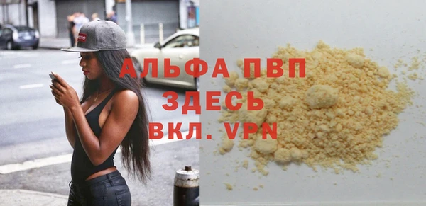 PSILOCYBIN Вяземский