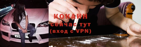 ГАЛЛЮЦИНОГЕННЫЕ ГРИБЫ Вязьма