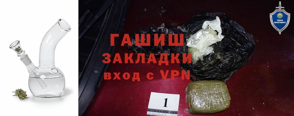 прущие грибы Горно-Алтайск