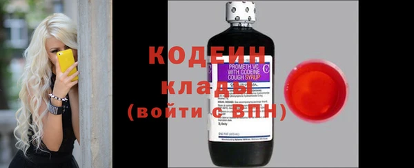индика Горняк