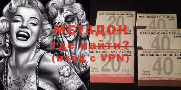 индика Горняк