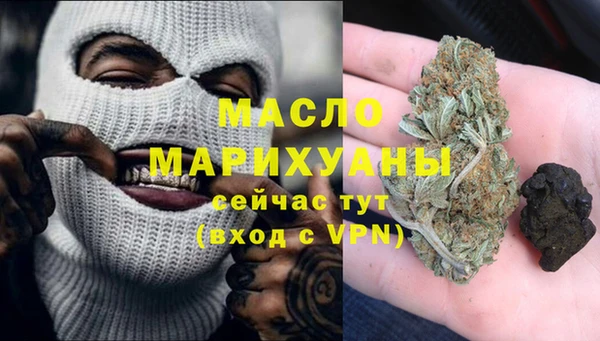 индика Горняк