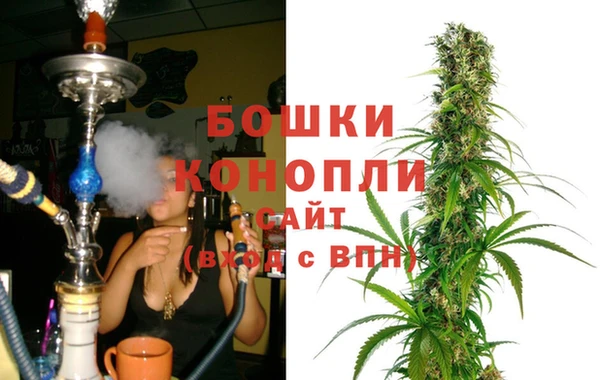 прущие грибы Горно-Алтайск