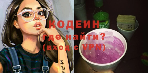 индика Горняк