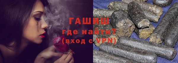 индика Горняк