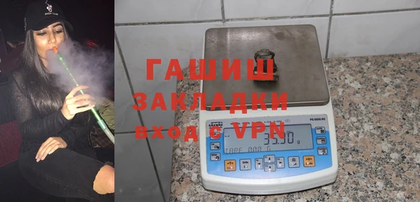 прущие грибы Горно-Алтайск