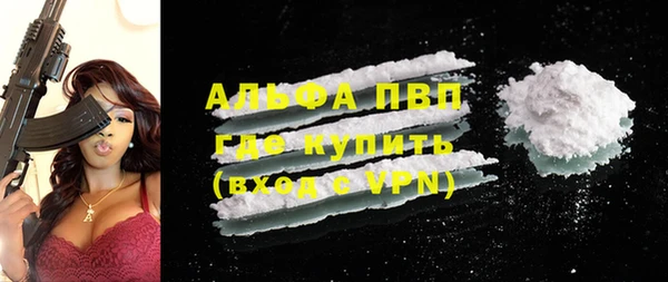 прущие грибы Горно-Алтайск